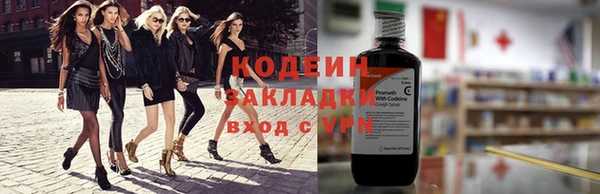 ешки Корсаков