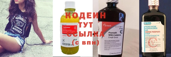 ешки Корсаков
