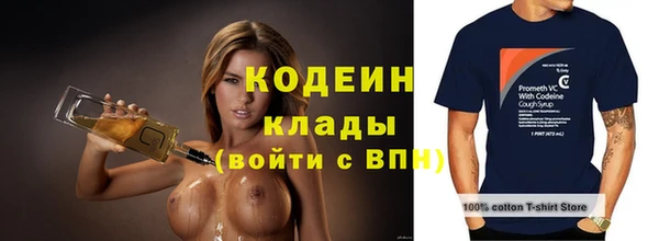 ешки Корсаков