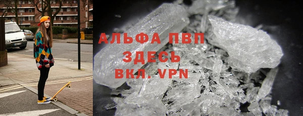 ешки Корсаков