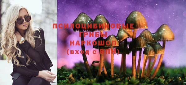 бошки Костерёво