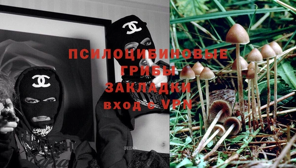 бошки Костерёво