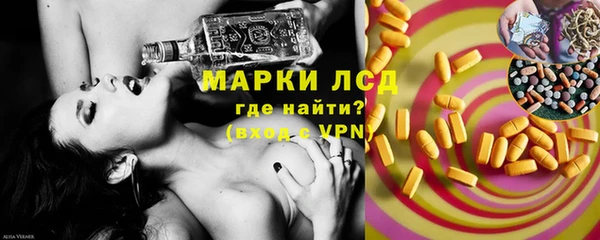ешки Корсаков