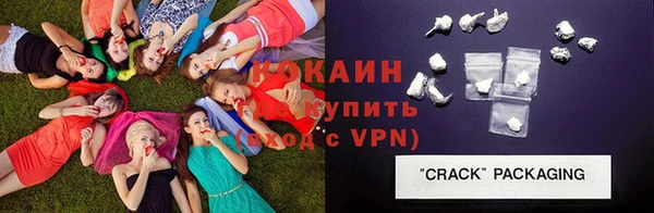 ешки Корсаков