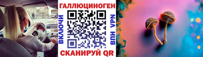 Псилоцибиновые грибы GOLDEN TEACHER  площадка наркотические препараты  Мамоново 